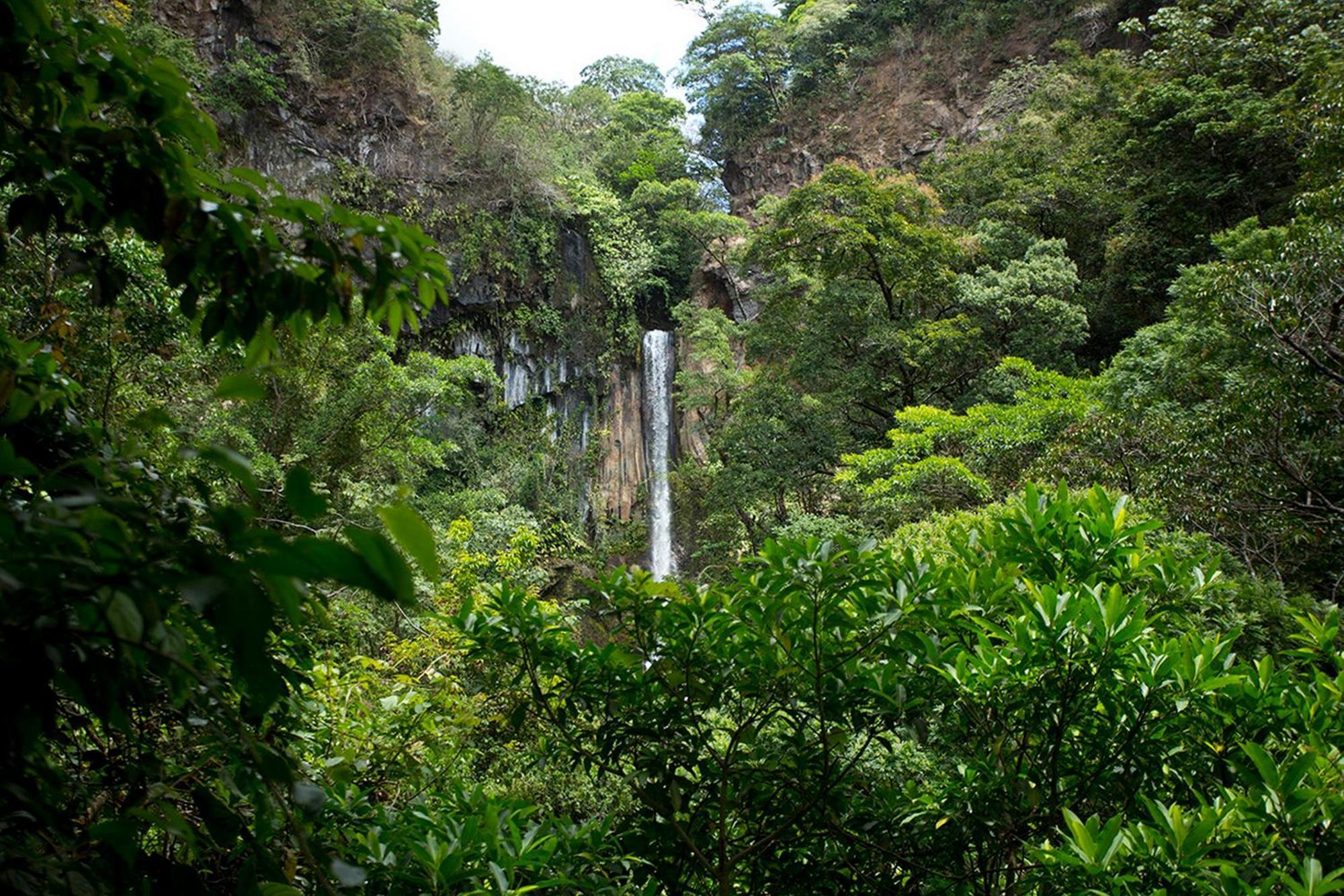 Buena Vista Del Rincon Eco Adventure Park Hotel & Spa Liberia Esterno foto